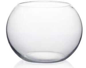 Fish Bowl 8″ Vase