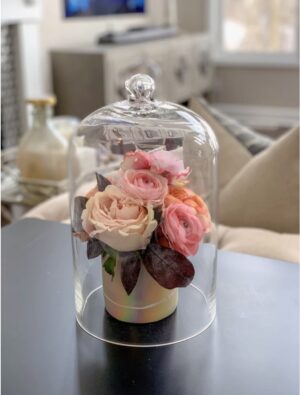 Glass Cloche – Tall