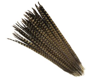 5 Pcs English Ringneck Pheasant Tail Feathers (24-26”)