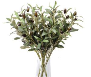5 Pack Olive Branches