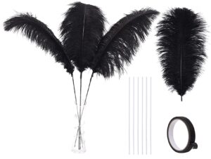 28inch Large Ostrich Feathers