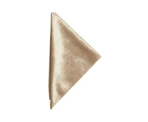 20 pcs 20×20-Inch Champagne Premium Velvet Napkins