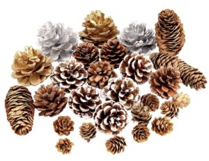 27Pcs Christmas Pine Cones