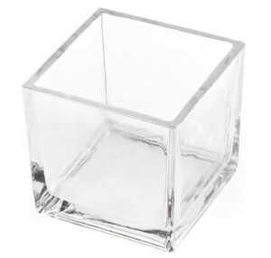 Glass Cube Vase 6″x6″x6″
