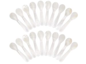Set of Caviar Spoons Shell Spoon Mother of Pearl