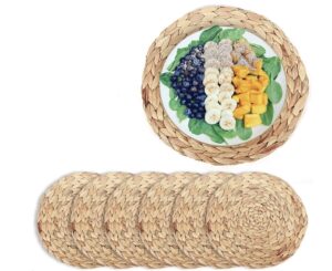 6 Pack Woven Placemats charger